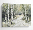 Birch Tree Forest Path  A Peaceful Walk ABS058